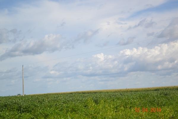 Boa Hora se torna um dos grandes produtores de soja do Piauí - Imagem 69