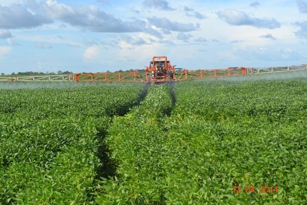 Boa Hora se torna um dos grandes produtores de soja do Piauí - Imagem 44