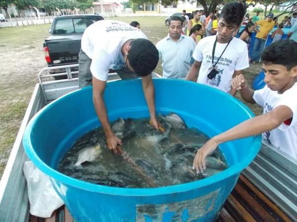 Bons negócios no I festival do Peixe na cidade de Batalha - Imagem 17