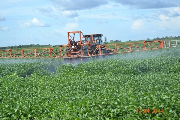 Boa Hora se torna um dos grandes produtores de soja do Piauí - Imagem 46
