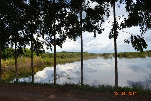 Boa Hora se torna um dos grandes produtores de soja do Piauí - Imagem 10