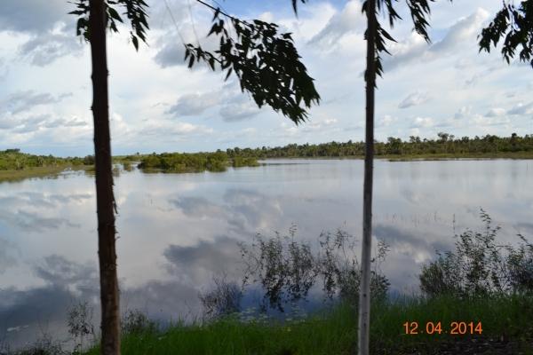 Boa Hora se torna um dos grandes produtores de soja do Piauí - Imagem 17