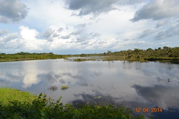 Boa Hora se torna um dos grandes produtores de soja do Piauí - Imagem 5