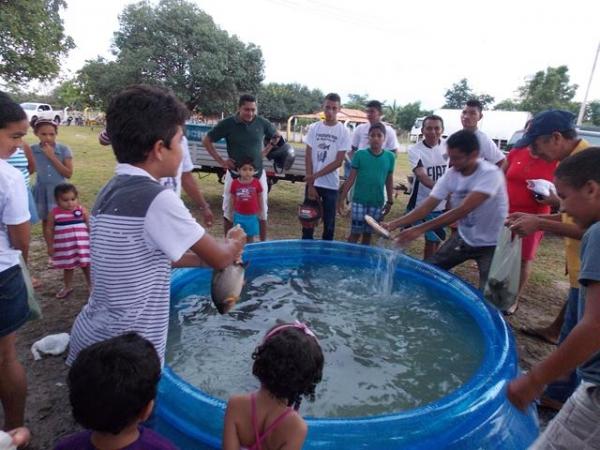 Bons negócios no I festival do Peixe na cidade de Batalha - Imagem 11