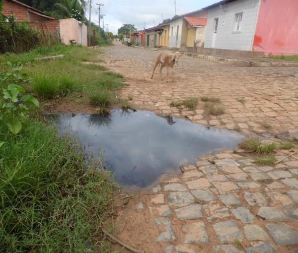 Animais mortos e lixo causam mau cheiro em rua do Bairro Matadouro, denunciam moradores - Imagem 6