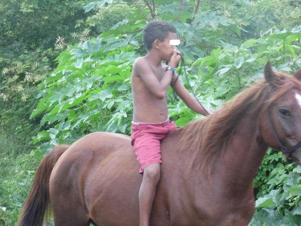 Animais mortos e lixo causam mau cheiro em rua do Bairro Matadouro, denunciam moradores - Imagem 8