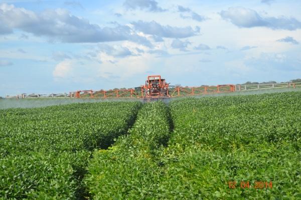Boa Hora se torna um dos grandes produtores de soja do Piauí - Imagem 42