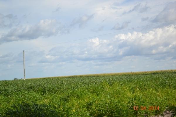 Boa Hora se torna um dos grandes produtores de soja do Piauí - Imagem 71