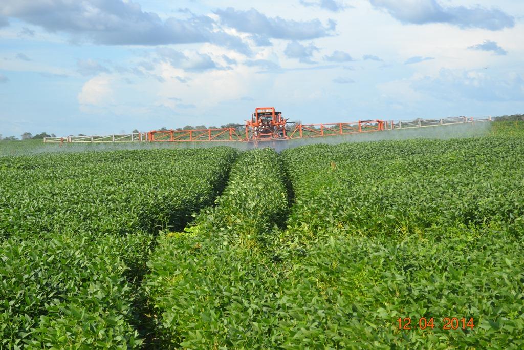 Boa Hora se torna um dos grandes produtores de soja do Piauí