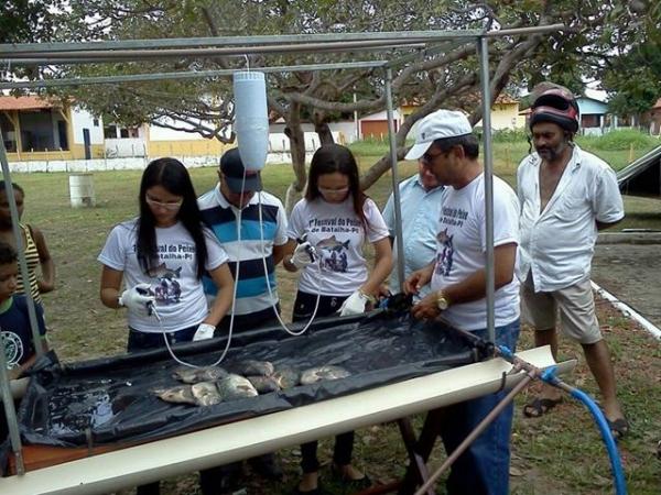Bons negócios no I festival do Peixe na cidade de Batalha - Imagem 25