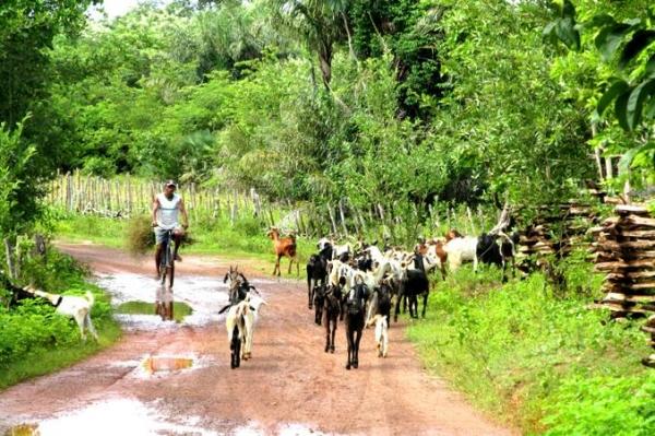 Semana Santa de fé, alegria e reencontros em Barras - Imagem 39
