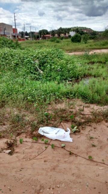 Recém-nascido encontrado em Picos passa por exames  - Imagem 1