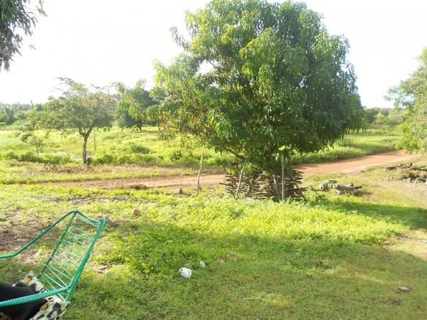 Semana Santa de fé, alegria e reencontros em Barras - Imagem 26