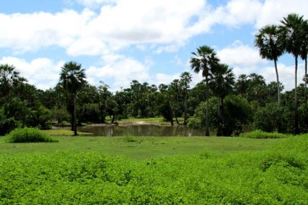 Semana Santa de fé, alegria e reencontros em Barras - Imagem 37
