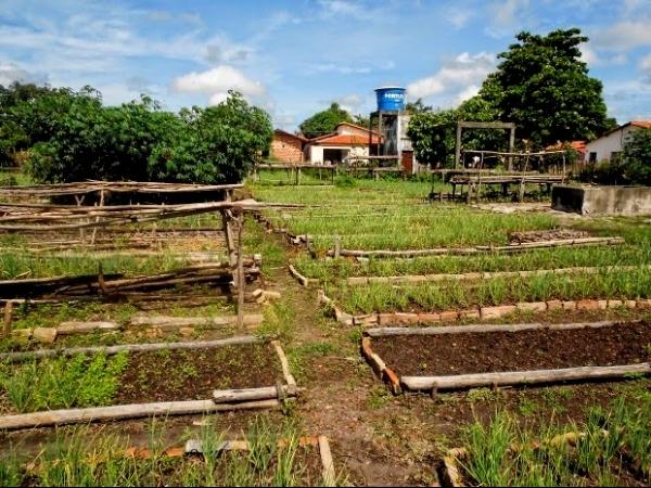 Curso de Horticultor Orgânico beneficia moradores - Imagem 1
