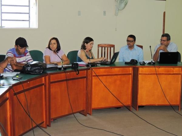 Pedro II sediou encontro do Conselho de Desenvolvimento do Território dos Cocais - Imagem 3