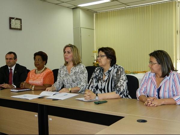 Parceria da União com Prefeitura resultará na implantação do SAMVIS em Pedro II - Imagem 4