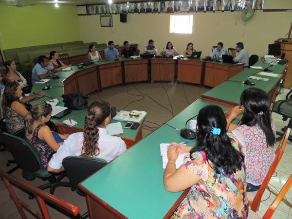 Pedro II sediou encontro do Conselho de Desenvolvimento do Território dos Cocais - Imagem 2