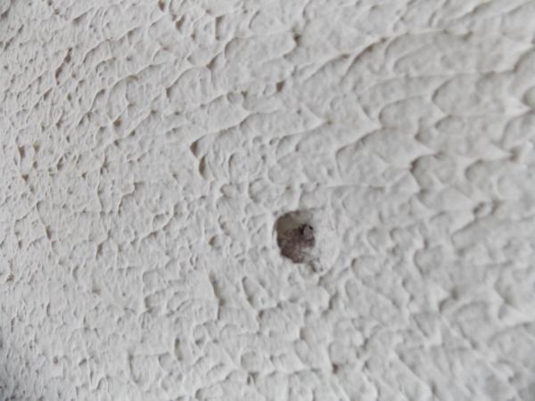 Mais uma vez agencia do Banco Bradesco em Capitão de Campos é explodida - Imagem 11