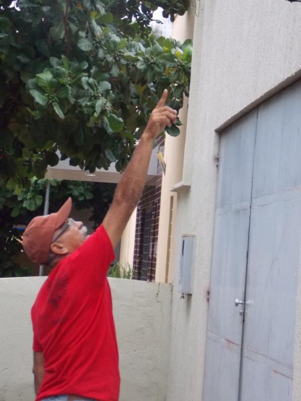 Mais uma vez agencia do Banco Bradesco em Capitão de Campos é explodida - Imagem 12