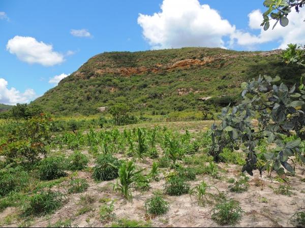 Assentamento Salobro vai ganhar estrada vicinal - Imagem 17