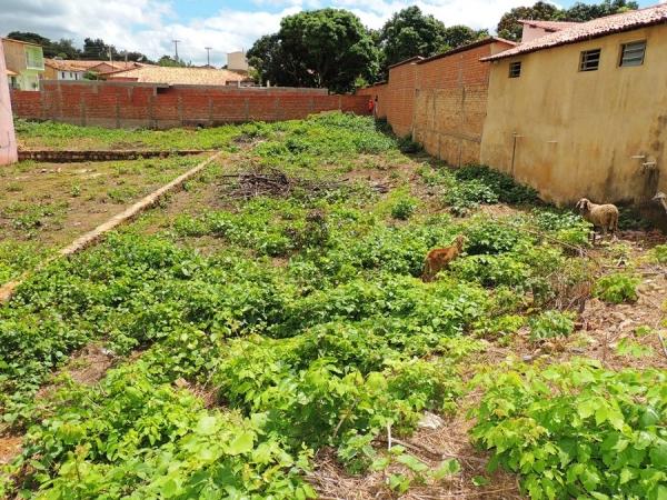 Dois excelentes terrenos à vendas localizados no centro comercial - Imagem 7