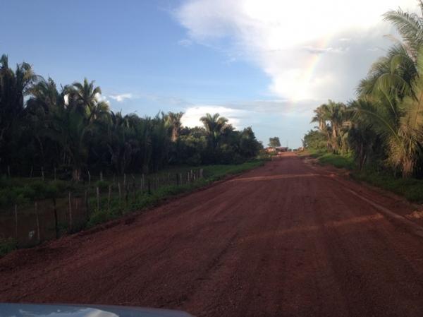 Estrada Mussum - Lagoa do Egito está sendo recuperada pela PMU - Imagem 1