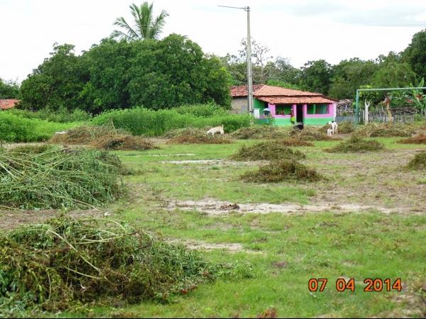 Prefeito Realiza mutirão de limpeza nas principais via de Boa Hora - Imagem 14