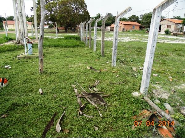 Prefeito Realiza mutirão de limpeza nas principais via de Boa Hora - Imagem 26