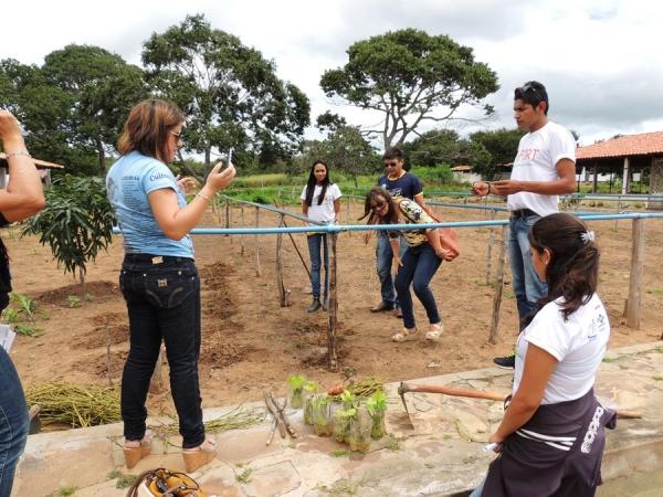 Dia de Campo mostra a importância dos produtos biofortificados - Imagem 19