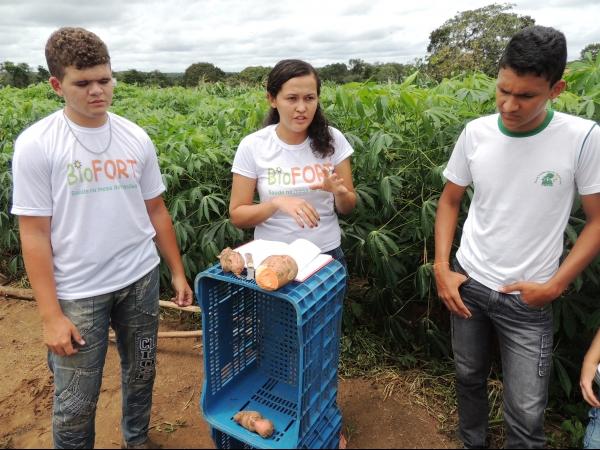 Dia de Campo mostra a importância dos produtos biofortificados - Imagem 16
