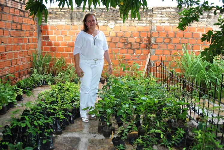 Programação definida para comemorar o dia mundial do Meio Ambiente