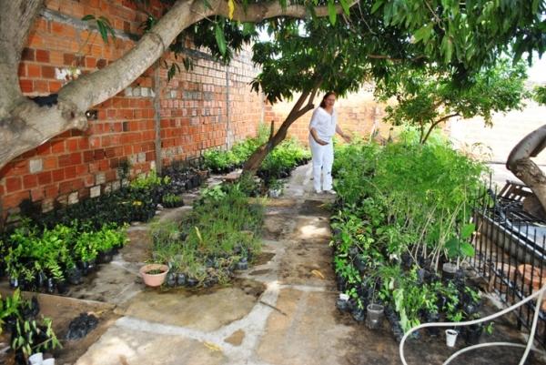 Programação definida para comemorar o dia mundial do Meio Ambiente - Imagem 3
