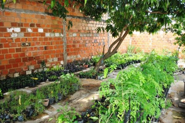Programação definida para comemorar o dia mundial do Meio Ambiente - Imagem 2