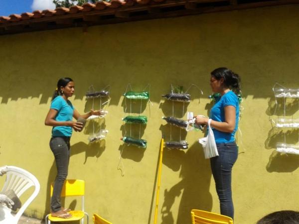 Escola municipal da zona rural desenvolve projeto de Sustentabilidade  - Imagem 8