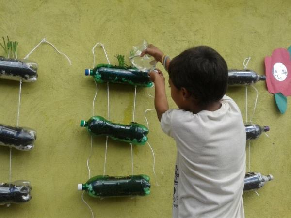 Escola municipal da zona rural desenvolve projeto de Sustentabilidade  - Imagem 4