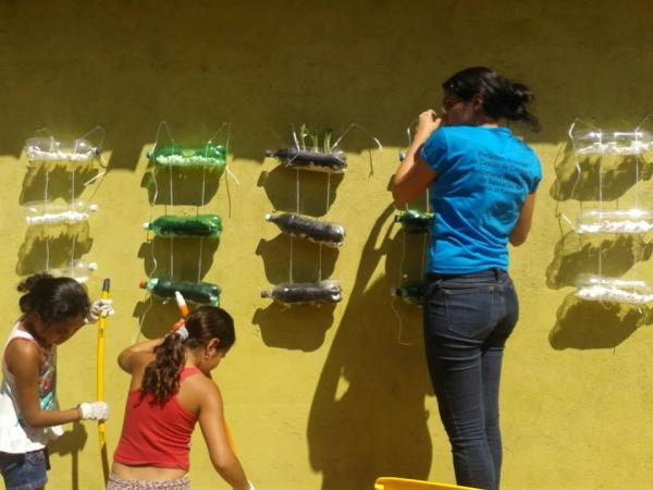 Escola municipal da zona rural desenvolve projeto de Sustentabilidade  - Imagem 6