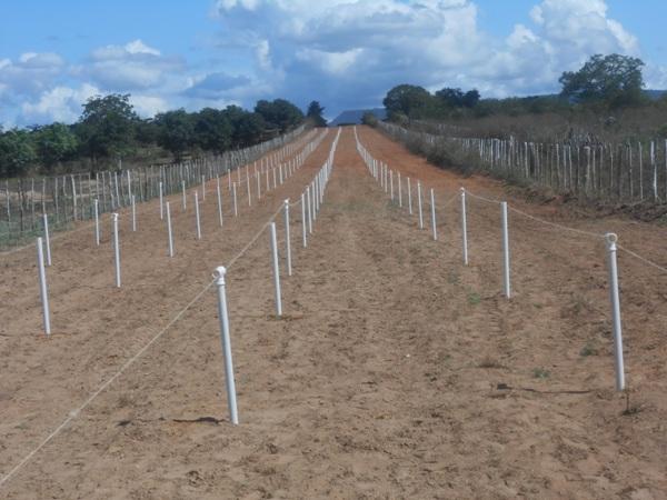 Prefeitura de Santa Rosa realiza melhorias no Parque de corridas Chapéu quebrado - Imagem 1