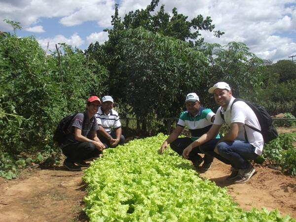 Training do SEBRAE visitam Projeto PAIS em Santa Rosa do Piauí - Imagem 6