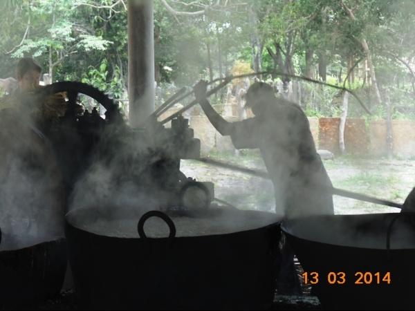 Boa Hora: Município é contemplado com recursos para instalação de microdestilaria - Imagem 4