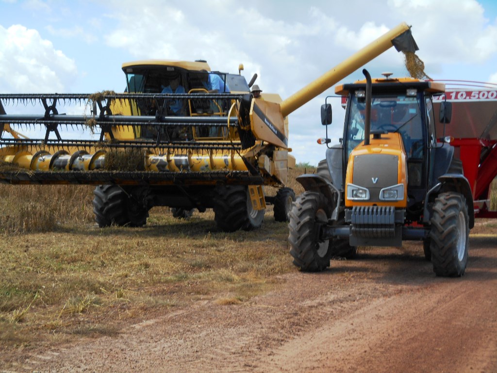 Começa a colheita da Soja boahorense