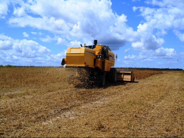 Começa a colheita da Soja boahorense - Imagem 16