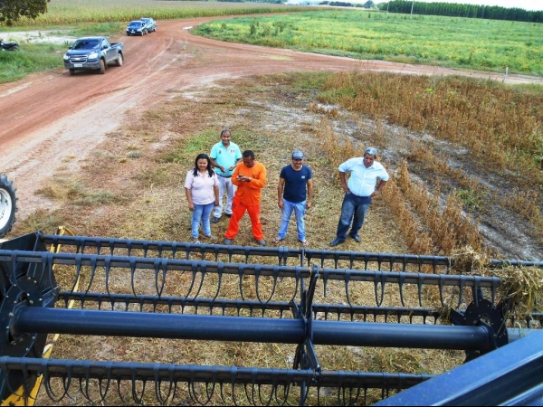 Começa a colheita da Soja boahorense - Imagem 22