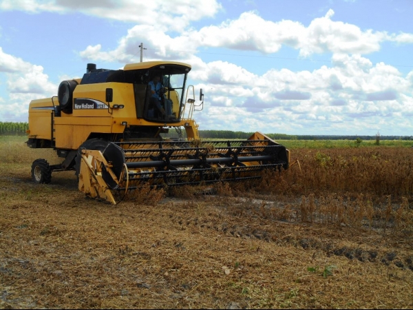 Começa a colheita da Soja boahorense - Imagem 18