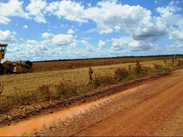 Começa a colheita da Soja boahorense - Imagem 13