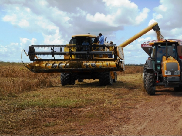 Começa a colheita da Soja boahorense - Imagem 31