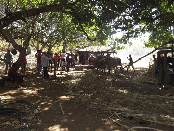 Especial Dom Expedito Lopes (parte 2) “Conhecendo Del” - Imagem 29