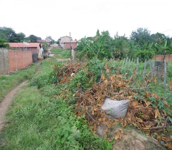 Cansada de esperar providências da Prefeitura, mulher decide roçar rua onde mora - Imagem 2