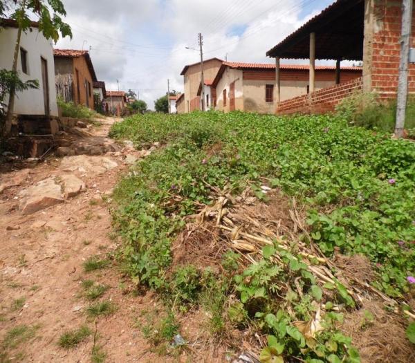 Cansada de esperar providências da Prefeitura, mulher decide roçar rua onde mora - Imagem 10