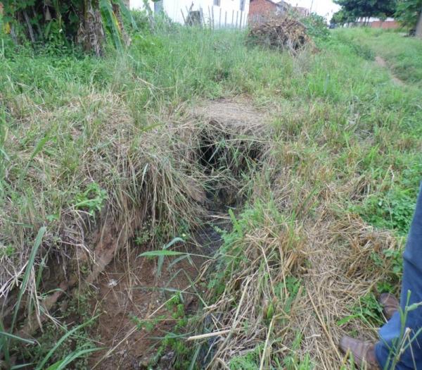 Cansada de esperar providências da Prefeitura, mulher decide roçar rua onde mora - Imagem 5